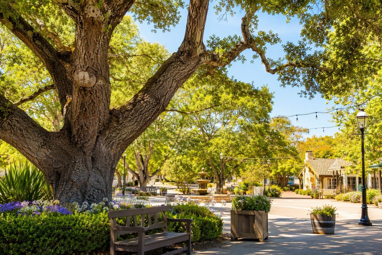 Oak Tree Protection - illustration, Jake Team LLC
